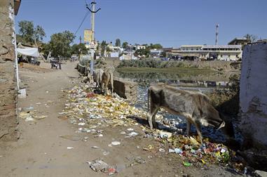 01 Pushkar_DSC4893_b_H600